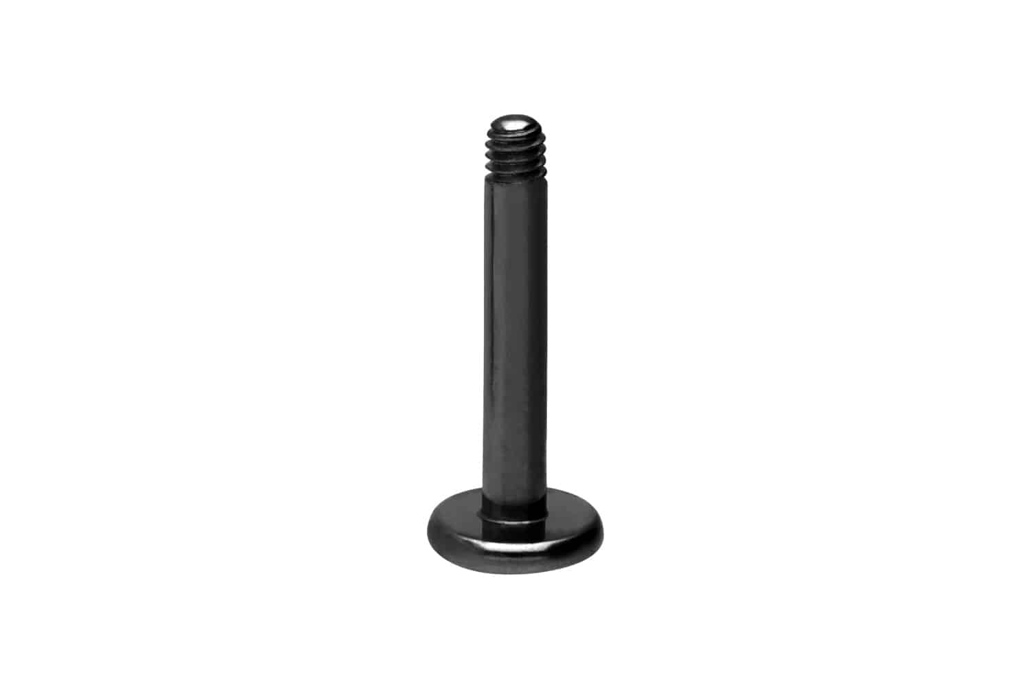Titan Labret Piercing ohne Kugel